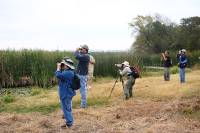 Waco Wetlands 011 